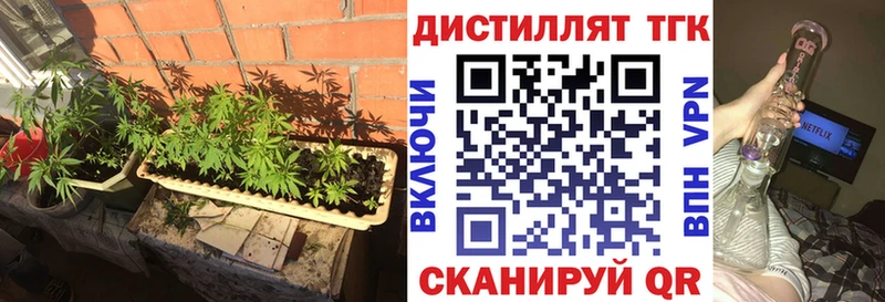ТГК вейп Камышлов