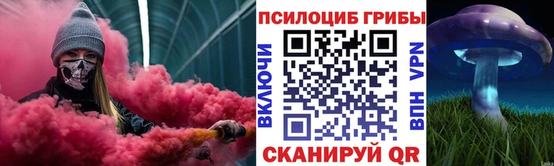 shop официальный сайт  Камышлов  Псилоцибиновые грибы мухоморы 